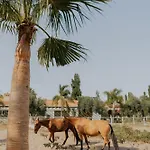 Quinta Do Pinheiro E Eventos By Grupo Quinta Dos Lagos מלון Valado de Frades