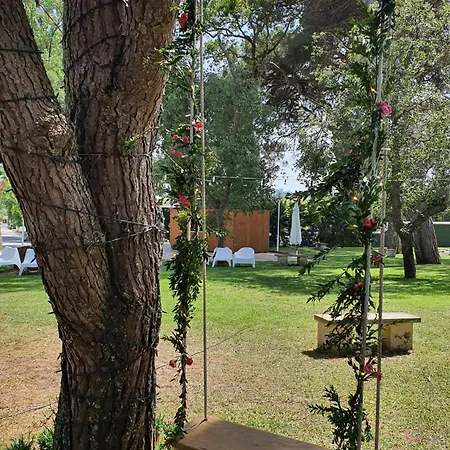 Quinta Do Pinheiro E Eventos By Grupo Quinta Dos Lagos 4*