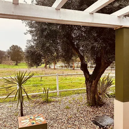 Quinta Do Pinheiro E Eventos By Grupo Quinta Dos Lagos Hotel 4*