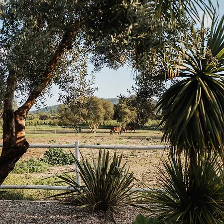 ホテル Quinta Do Pinheiro E Eventos By Grupo Quinta Dos Lagos