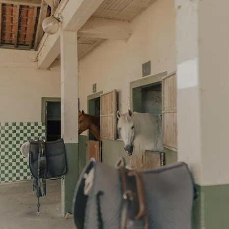 Quinta Do Pinheiro E Eventos By Grupo Quinta Dos Lagos 瓦尔杜德弗拉德斯