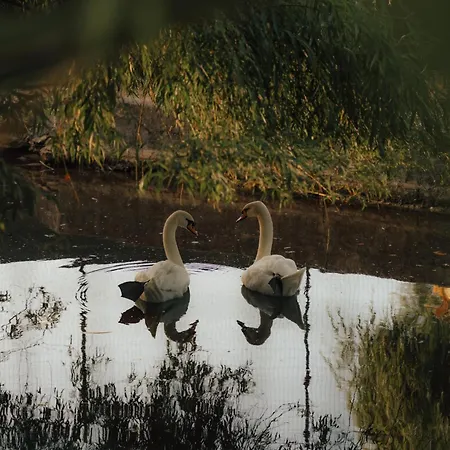 Quinta Do Pinheiro E Eventos By Grupo Quinta Dos Lagos 瓦尔杜德弗拉德斯