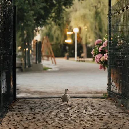 Quinta Do Pinheiro E Eventos By Grupo Quinta Dos Lagos 酒店 瓦尔杜德弗拉德斯